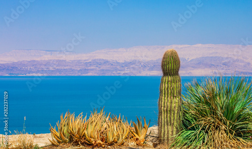 central America scenic landscape photography in Honduras of cactus desert plant on hill with background view on Caribbean sea bay photo