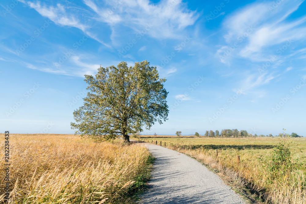 Bicycle path around the Szczecin Lagoon. a new bicycle path running through Czarnocin Reserve. Bicycle path around the Szczecin Lagoon. a new bicycle path running through Czarnocin Reserve.