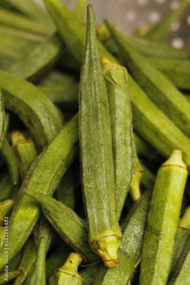 ladyfinger in INDIA is a vegetable is hybrid 