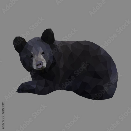 Low poly wild vector black baby bear
