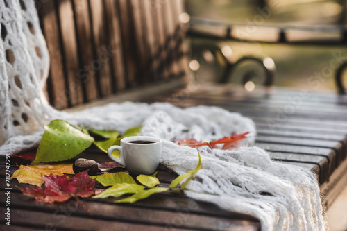 Small cup of natural coffee and white knitted shawl on wet wooden bench among dry colorful fallen leaves with raindrops in autumn photo