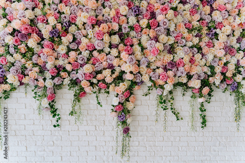 Fototapeta kolorowe róże wiszące biała cegła