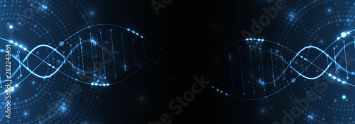 Science template, wallpaper or banner with a DNA molecules. Vector illustration.