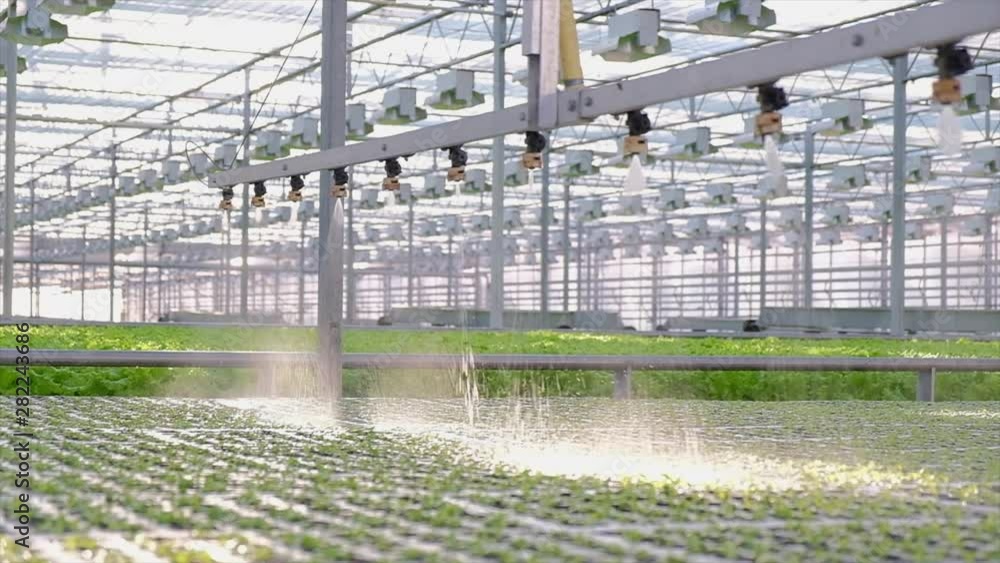 Greenhouse watering system in action. Hydroponic system Greenhouse watering system in action. Hydroponic system