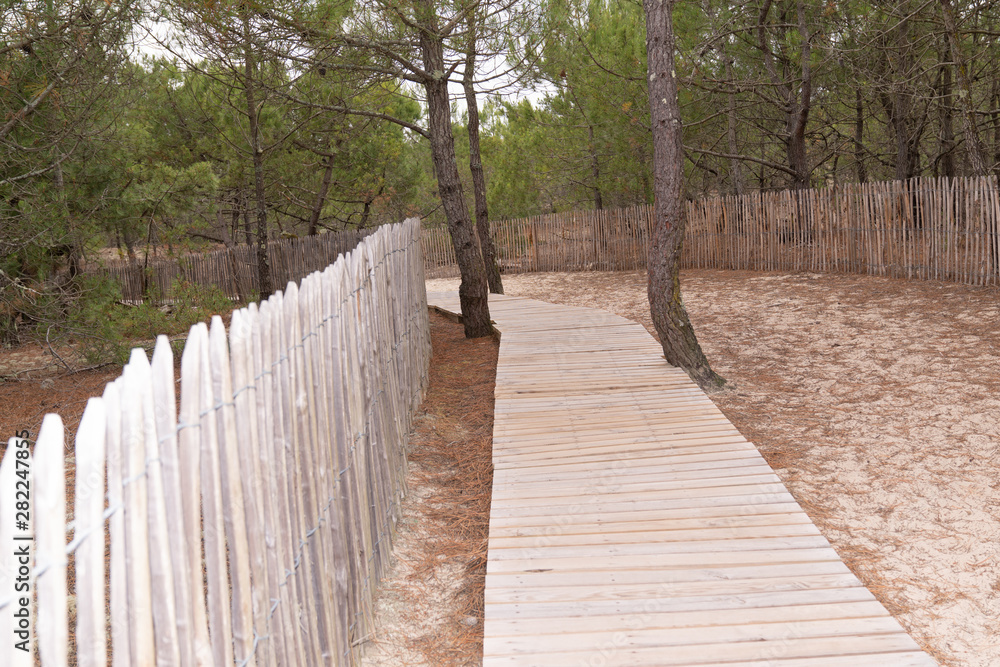 Wooden path to access beach in Grand Crohot in Lege Cap-Ferret France Wooden path to access beach in Grand Crohot in Lege Cap-Ferret France
