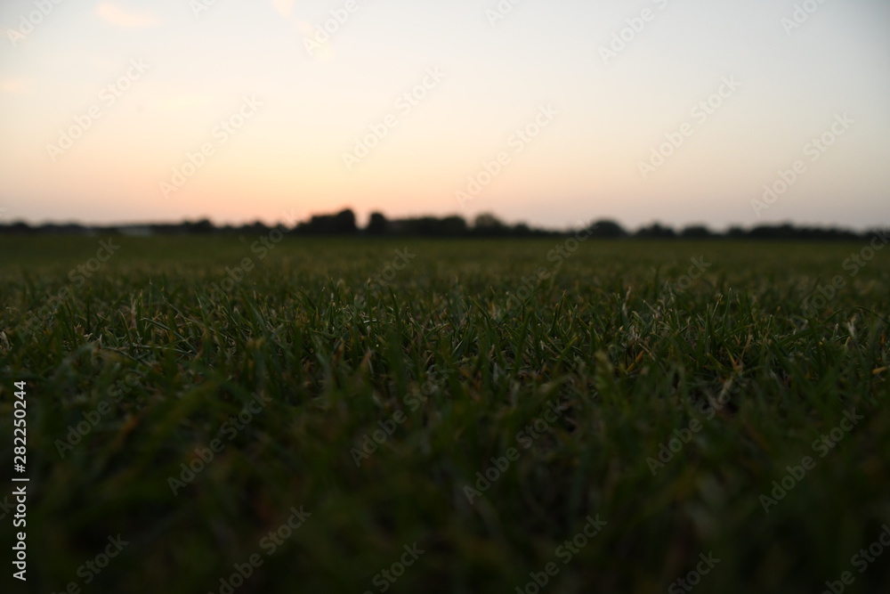 Green grass with blurred horizon landscape view 