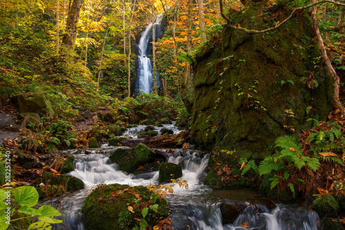 Kumoi waterfall or Kumoi no taki at oirase stream. vibrant autumn colors (foliage) at lake towada, Aomori Prefecture photo