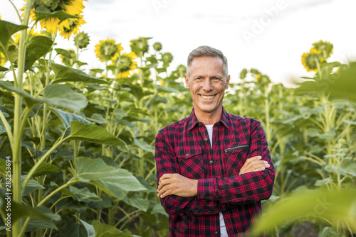 Medium view man on a field of sunflowers