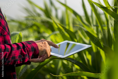 Close up man touching tablet screen in a field
