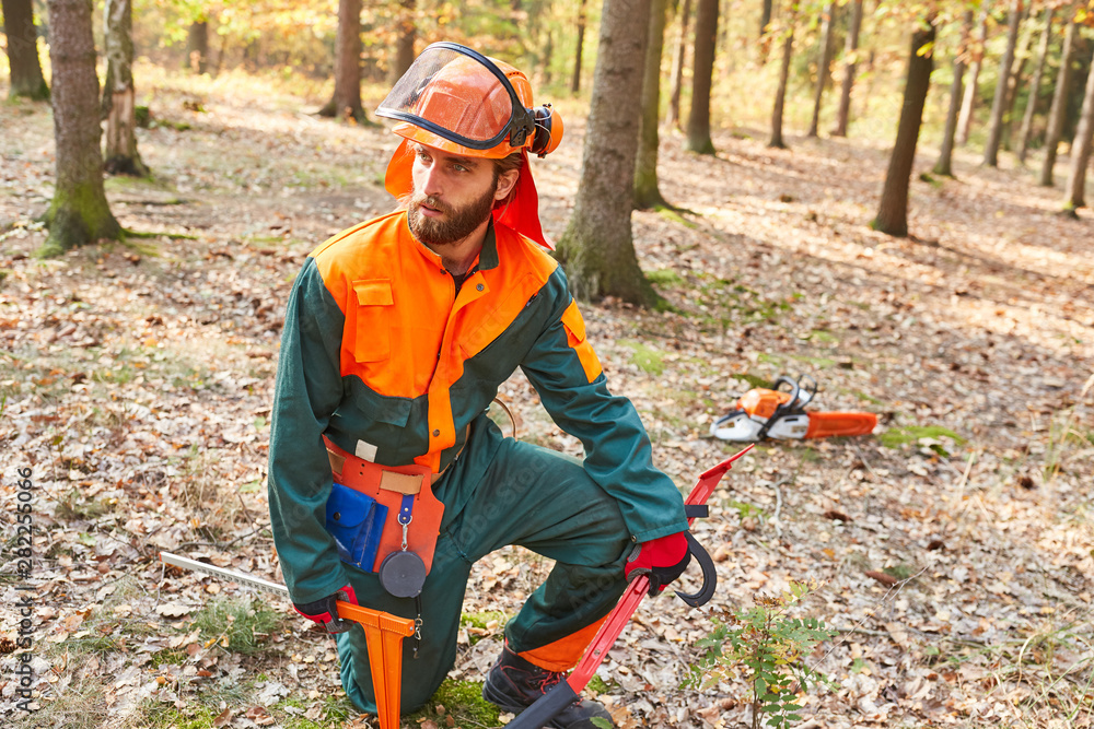 Lumberjack in protective clothing and with tools Stock Photo Adobe Stock
