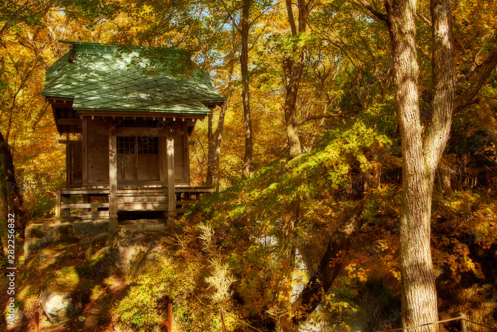 Vibrant autumn colors (foliage) at Shikigaki Shrine near Tometaki waterfall, Aomori Prefecture, Japan Vibrant autumn colors (foliage) at Shikigaki Shrine near Tometaki waterfall, Aomori Prefecture, Japan