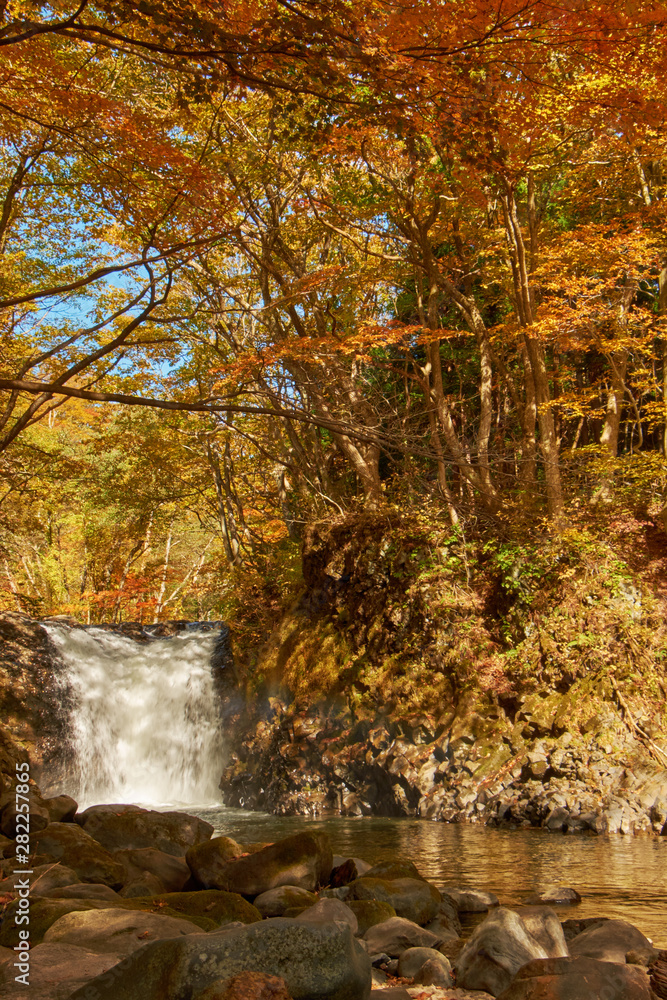 Tamari Taki. Vibrant autumn colors (foliage) at Tometaki waterfall, Aomori Prefecture, Japan