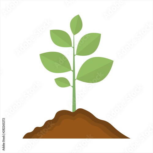 plant icon. sign design illustration on white background