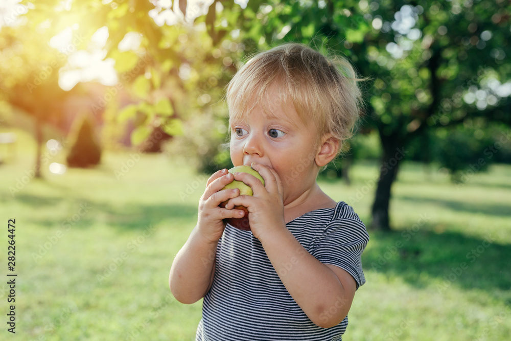 cute little boy eating apple outdoor cute little boy eating apple outdoor
