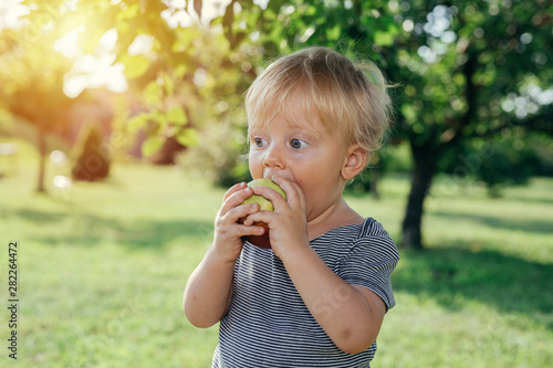 cute little boy eating apple outdoor