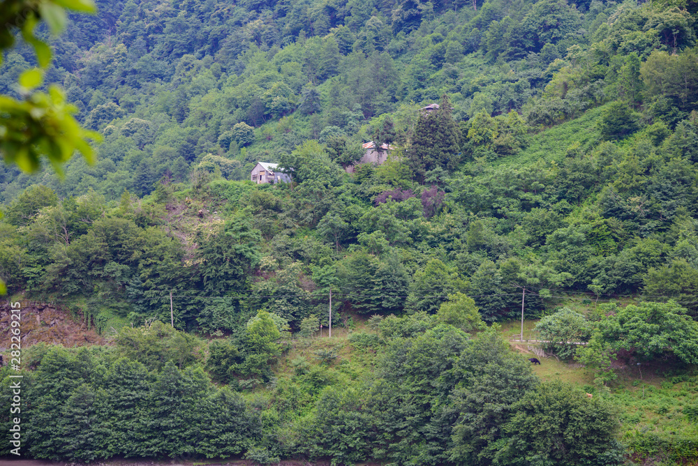 the old buildings are located on the mountainside, passing power lines and the road is hidden behind the foliage of trees. Cloudy day with clouds in the sky.