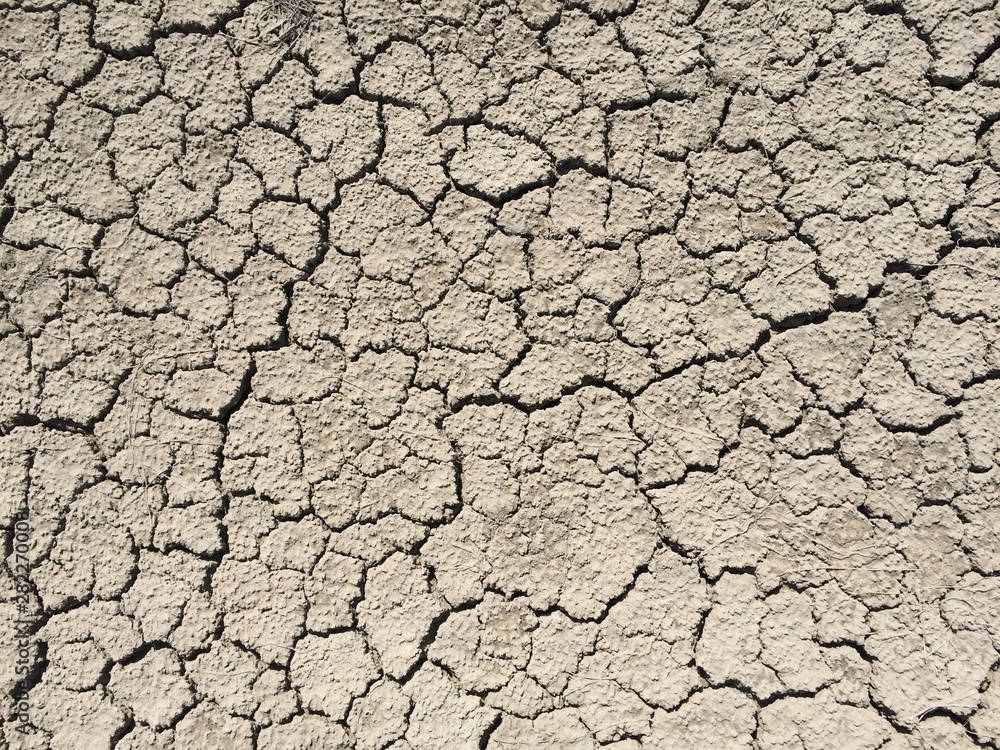 Parched land in the Regional Natural Park of Camargue Parched land in the Regional Natural Park of Camargue