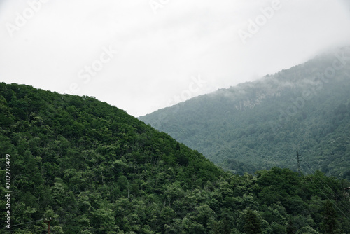 mountain slopes, green trees growing on the mountain slope. Cloudy day with clouds in the sky.