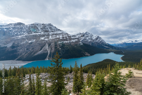 Panoramic view of Peyto lake under cloudy sky   Jasper National park  Alberto  Canada