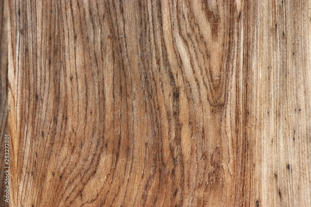 Naklejka premium Texture of bark background,tree texture,wood background