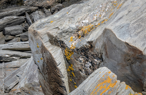 Gray Metamorphic Rock and Yellow Lichen on a Maine Beach