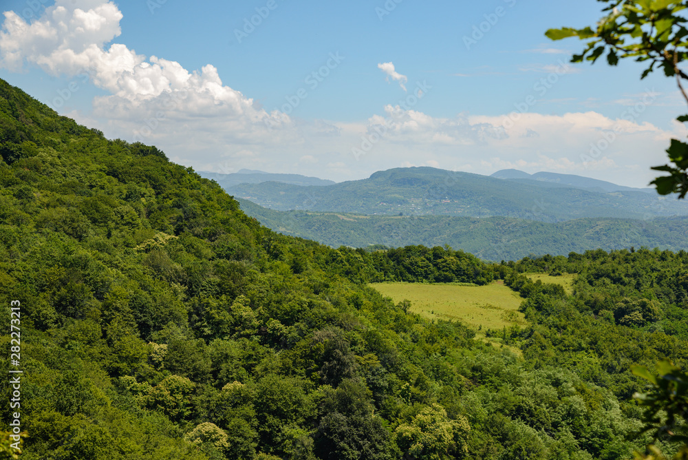 view of a mountain green meadow surrounded by dense vegetation of green trees on a sunny day with clouds in the sky.