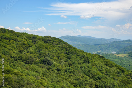 view of a mountain green meadow surrounded by dense vegetation of green trees on a sunny day with clouds in the sky.