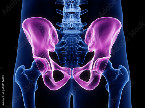 3d rendered medically accurate illustration of the ilium photo