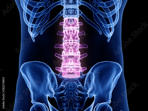 3d rendered medically accurate illustration of the lumbar spine
