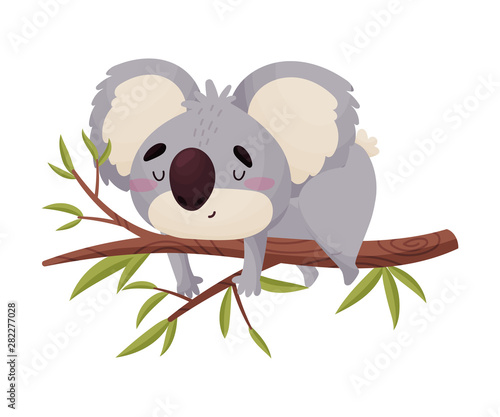 Cute koala cartoon lies on a branch. Vector illustration on white background. photo