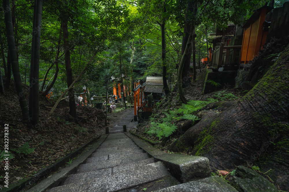 京都　伏見稲荷大社　夏