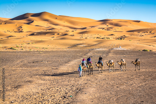 Sand dunes Erg Chebbi with camels near Merzouga in Morocco