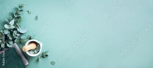 Obraz Liście eukaliptusa i biały moździerz, tłuczek. Składniki medycyny alternatywnej i kosmetyków naturalnych. Piękno, koncepcja spa