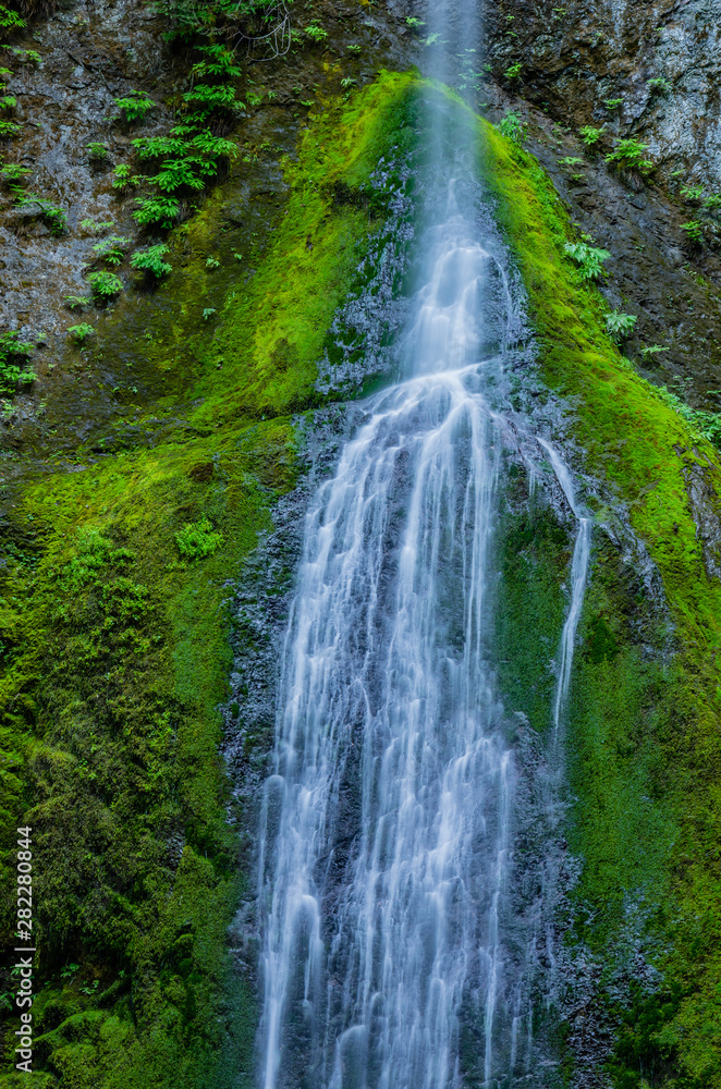 Waterfall in Olympic Peninsula 13