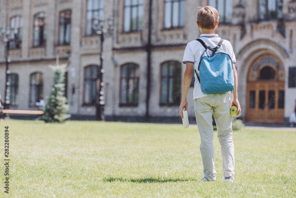 back view of schoolboy with backpack holding apple and book while walking on lawn