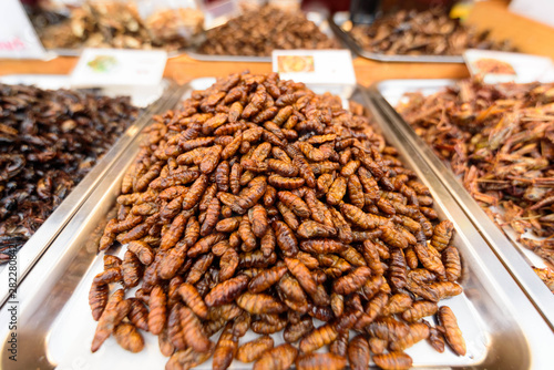 a lot of Beetle Fried Worms in tray © rukawajung