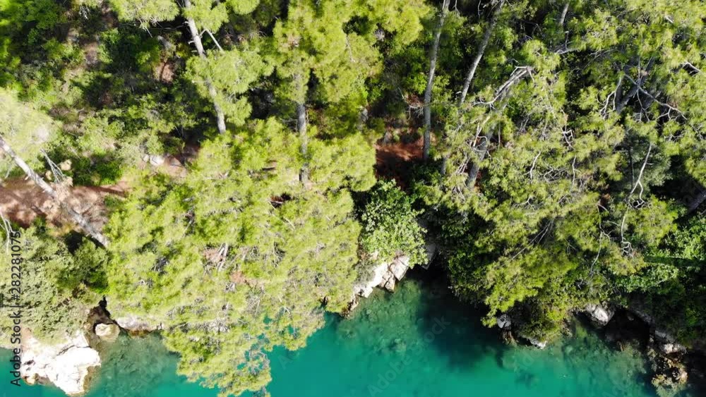 A descending drone clip (with tilting camera) from Aegean coastal pine forests, shot in mid spring. A descending drone clip (with tilting camera) from Aegean coastal pine forests, shot in mid spring.
