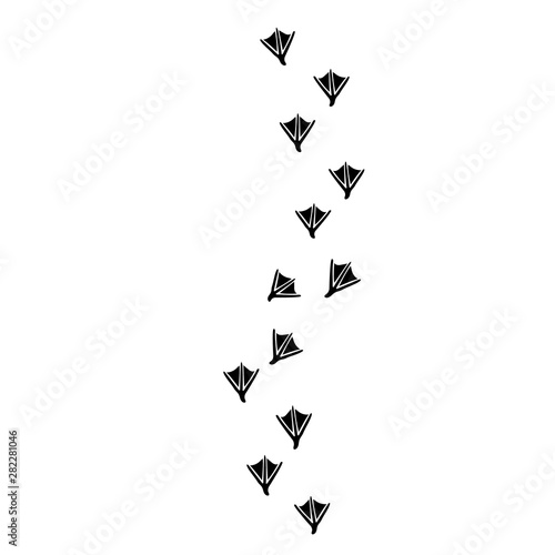 Swan Walking Foot print designs