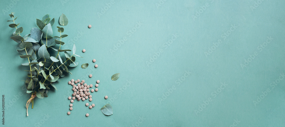 Alternative medicine - green eucalyptus leaves and pills on green background. Detox and anti parasite cleanse concept - obrazy, fototapety, plakaty 