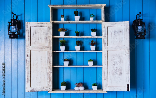 pastel blue wooden wall decorated with small plants on the white shelves with the frame as the window open
