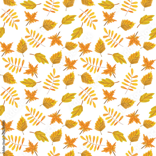 Autumn seamless pattern on a white background. yellow and red autumn leaves  raster hand drawing illustration