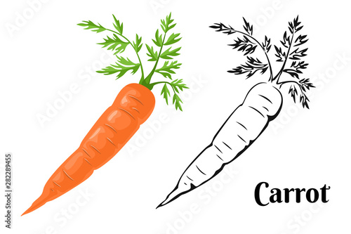 Carrot Set Fototapet