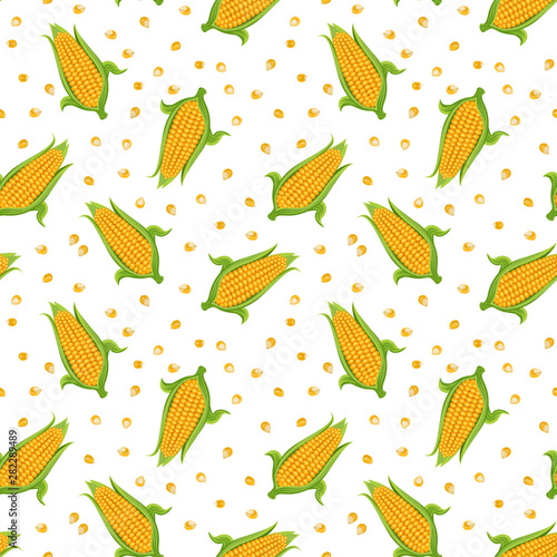 Seamless pattern with sweet corn and grains on white background. Vector texture in flat style. Ripe corn vegetables, seeds, corn cobs, maize, popcorn.