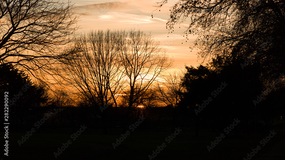 Naklejka premium Sunset behind some bare trees in winter.