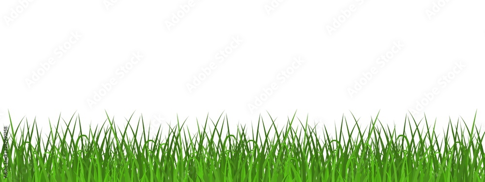 Green grass meadow border. Spring or summer plant field lawn. Template design for park, yard, garden natural landscape decoration, rural fields scenery. Green grass meadow border. Spring or summer plant field lawn. Template design for park, yard, garden natural landscape decoration, rural fields scenery.