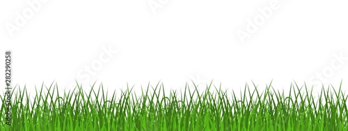 Green grass meadow border. Spring or summer plant field lawn. Template design for park, yard, garden natural landscape decoration, rural fields scenery.