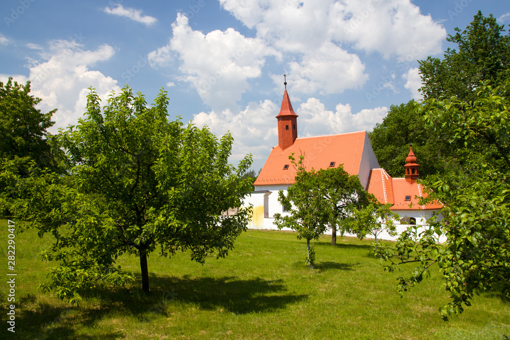 Rural scene with green grass and blue sky