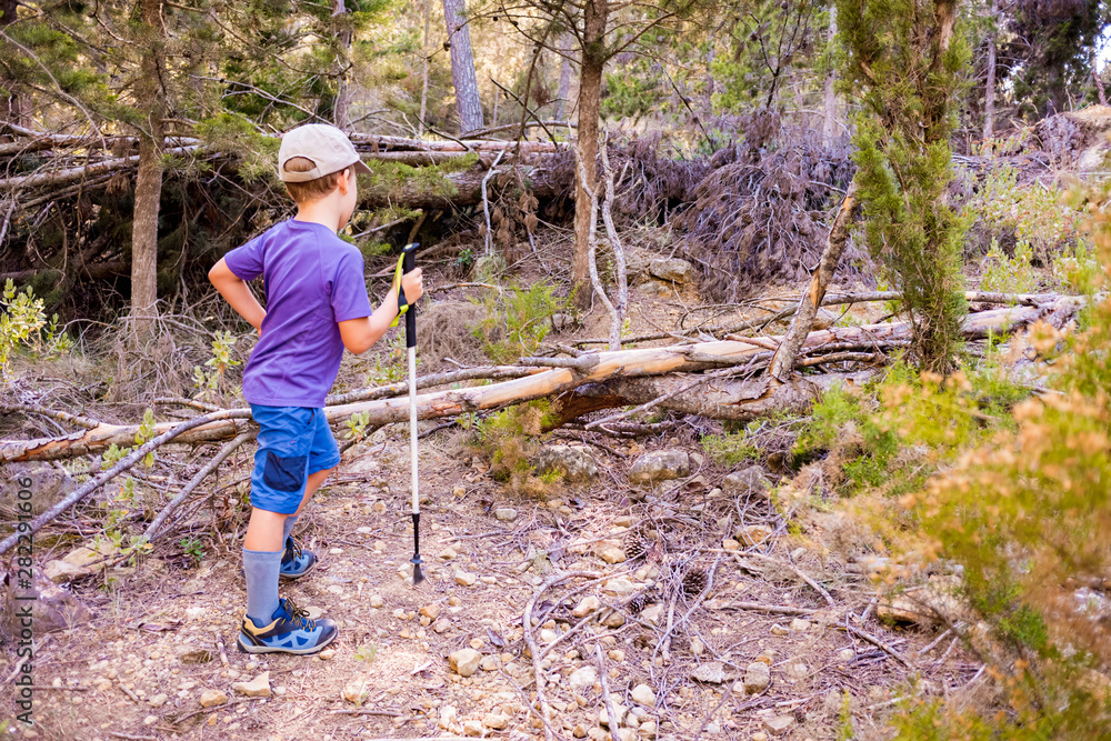 Child hiker walks trails leaning on a hiking stick living an adventure. Child hiker walks trails leaning on a hiking stick living an adventure.