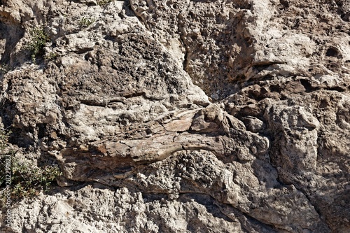 dinosaur bone in a wall in the Dinosaur National Monument in Utah