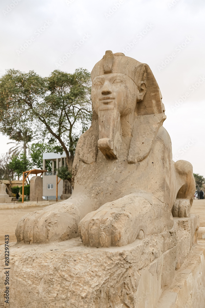 Sphinx in Memphis, Cairo, Egypt
